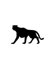 vector illustration of a silhouette of  silhouette, vector, mammal, lion, illustration, black, isolated, dog, zoo, predator, wildlife, cat, bear, tiger, wolf