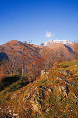 LES DEUX ALPES en automne