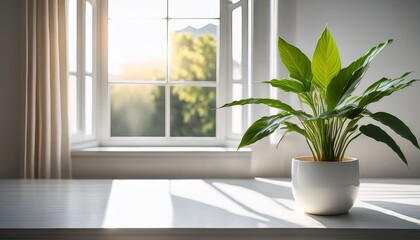 bright and serene indoor plant in a pristine white pot by a window reflecting natural light on a polished surface minimalist home decor aesthetic