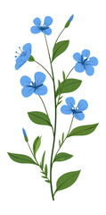 Fototapeta premium PNG A wildflower clip art flowers illustration design.