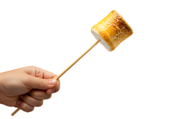hand holding roasted marshmallow on stick on transparent background