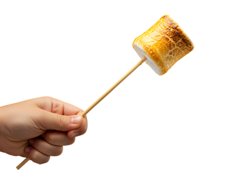 hand holding roasted marshmallow on stick on transparent background