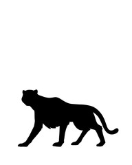 vector illustration of a leopard animal, vector, mammal, silhouette, lion, black, wild, illustration, dog, animals, wolf, zoo, bear, tiger, nature, cat, isolated, panther