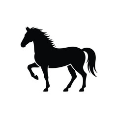 Silhouette of a majestic black horse standing proudly