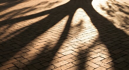 tree shadow on cobblestone floor