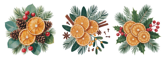 Watercolor-style holiday illustration of dried orange slices with pine branches, holly berries, pine cones, and cloves arranged in three symmetrical decorative compositions