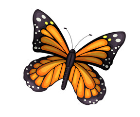 Beautiful orange and black butterfly illustration isolated