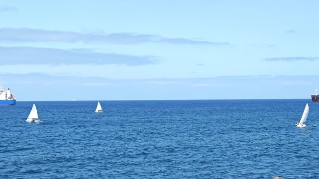Small lateen-rigged sailboats on calm blue sea gently sailing across a bright blue sea. Peaceful maritime scene, leisure activity, coastal lifestyle, traditional sailing.