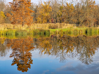 Fototapeta premium Golden Autumn Lake Reflection – Vibrant Fall Colors, Tranquil Nature Landscape, Seasonal Concept for Eco, Wellness, and Travel Campaigns