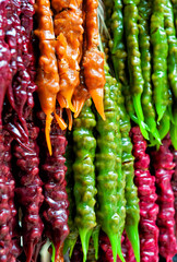Vibrant churchkhela hanging in rows showcases traditional Georgian dessert craft
