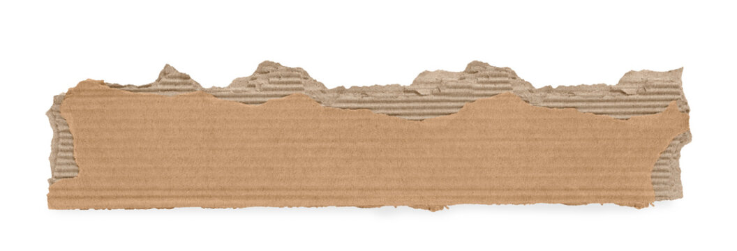 Torn cardboard background on Transparent Background png