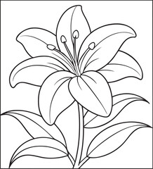 Blooming lily flower line art with petals and leaves, beautiful botanical coloring page and pattern design