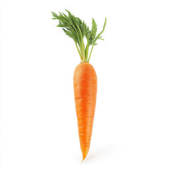 A single fresh carrot with green leaves, isolated on white background, showcasing its vibrant orange color and texture