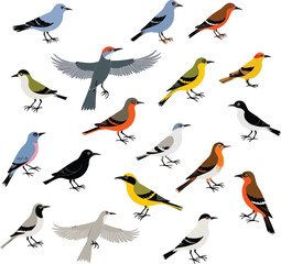 Fototapeta premium Illustration of Various Bird Species Set Against a White Background