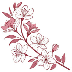 Delicate pink cherry blossom branch with blooming flowers and leaves in a stylized line art design