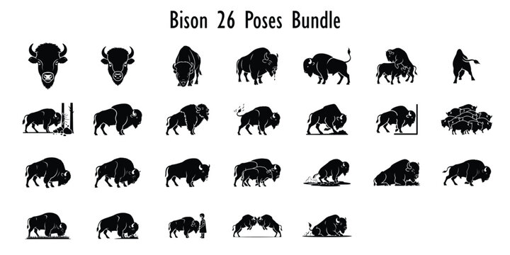 American Bison Buffalo Silhouette Icon Set: Vector Collection of Wildlife Mammals in Various Poses, Charging, Running, Head, and Herd Design Elements.