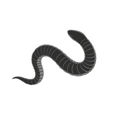 A segmented, black and grey worm or snake coiled in a curve