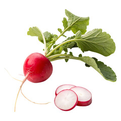 Radish vegetables image isolated on a transparent background