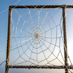 An abstract square composed of delicate fine threads on a clear background.