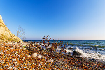 Landschaft im Herbst an der Küste der Ostsee auf der Insel Rügen