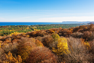 Blick auf herbstliche Wälder und die Ostsee auf der Insel Rügen