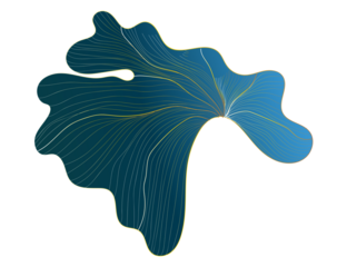 Abstract blue and gold organic flowing lines design