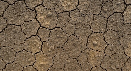 Closeup of dry cracked earth with deep fissures forming irregular polygonal shapes across the brown soil
