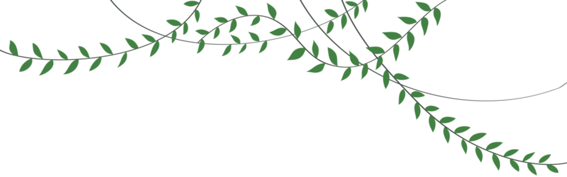Green vine plant illustration hanging from above