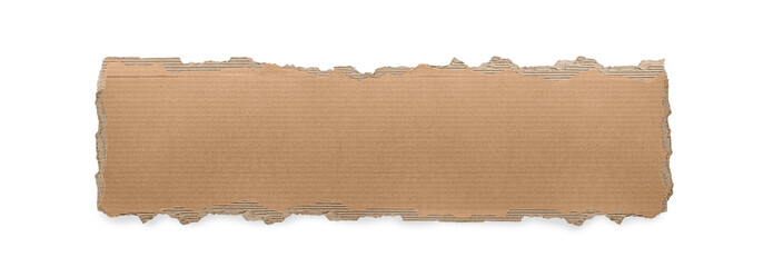 Torn cardboard background on Transparent Background png