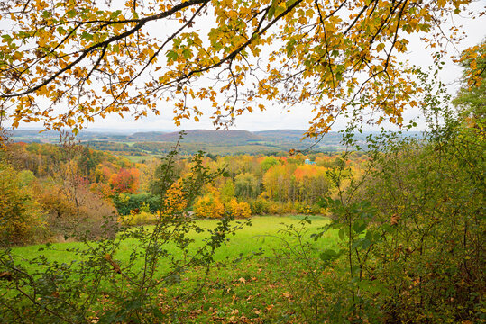 colorful landscape in autumn with maple branches and deciduous trees, Saarland Schaumberg