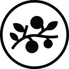 Illustrator Branch with berries in a circle frame Silhouette vector © Tamjida Alam