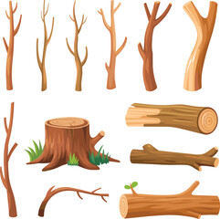 Tree anatomy illustration, branch log stump vector, nature element set, wood structure drawing, educational forest parts design ©  Miller