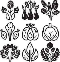 Set of organic fresh vegetables icons vector black and white icons 