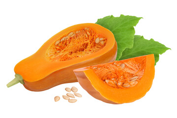 butternut squash piece isolated on white background with full depth of field