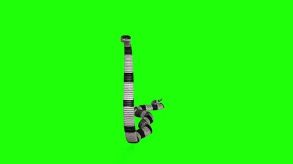 Front view of snake idle motion green screen or chroma key video clip art