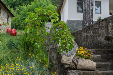 Fototapety na wymiar - Fototapeta24.pl