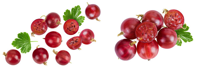 Red gooseberry isolated on white background. Top view. Flat lay.