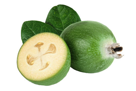 Feijoa fruit isolated on white background