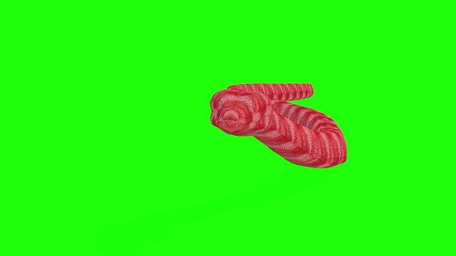 Red line pattern snake moving fastly front angle view green screen or chroma key video clip motion background