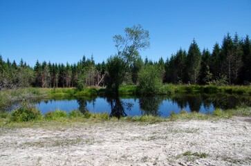 Lake in the Monts d'Arree in Brittany in France, Europe