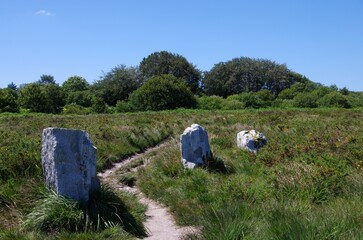 Megalithic stones in the Monts d'Arree in Brittany in France, Europe