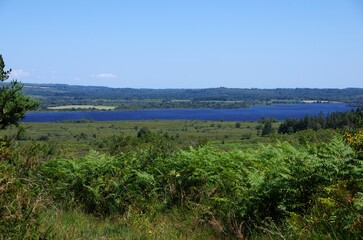 Lake in the Monts d'Arree in Brittany in France, Europe