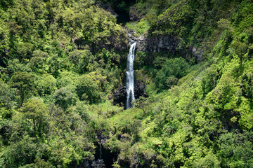 Tall Waterfall Cascading Through a Lush Tropical Gorge