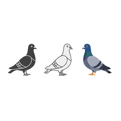 Three pigeons shown in different art styles a detailed illustration of a pigeon in black and white and color