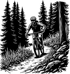 Mountain Biker in Forest Silhouette