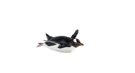 Gentoo penguin swimming underwater isolated PNG with Transparent Background