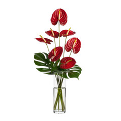 Obraz premium A close-up of vibrant red anthurium flowers with green monstera leaves in a glass vase isolated on transparent background