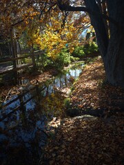 A serene autumn scene with a stream reflecting colorful leaves and trees, framed by a wooden fence.
