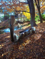 A wooden water channel surrounded by autumn leaves and warm sunlight.