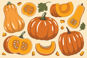 Collection of Orange Pumpkins and Butternut Squash Slices Keywords: pumpkin, squash, butternut squash, autumn, fall, harvest, seasonal, food, fruit